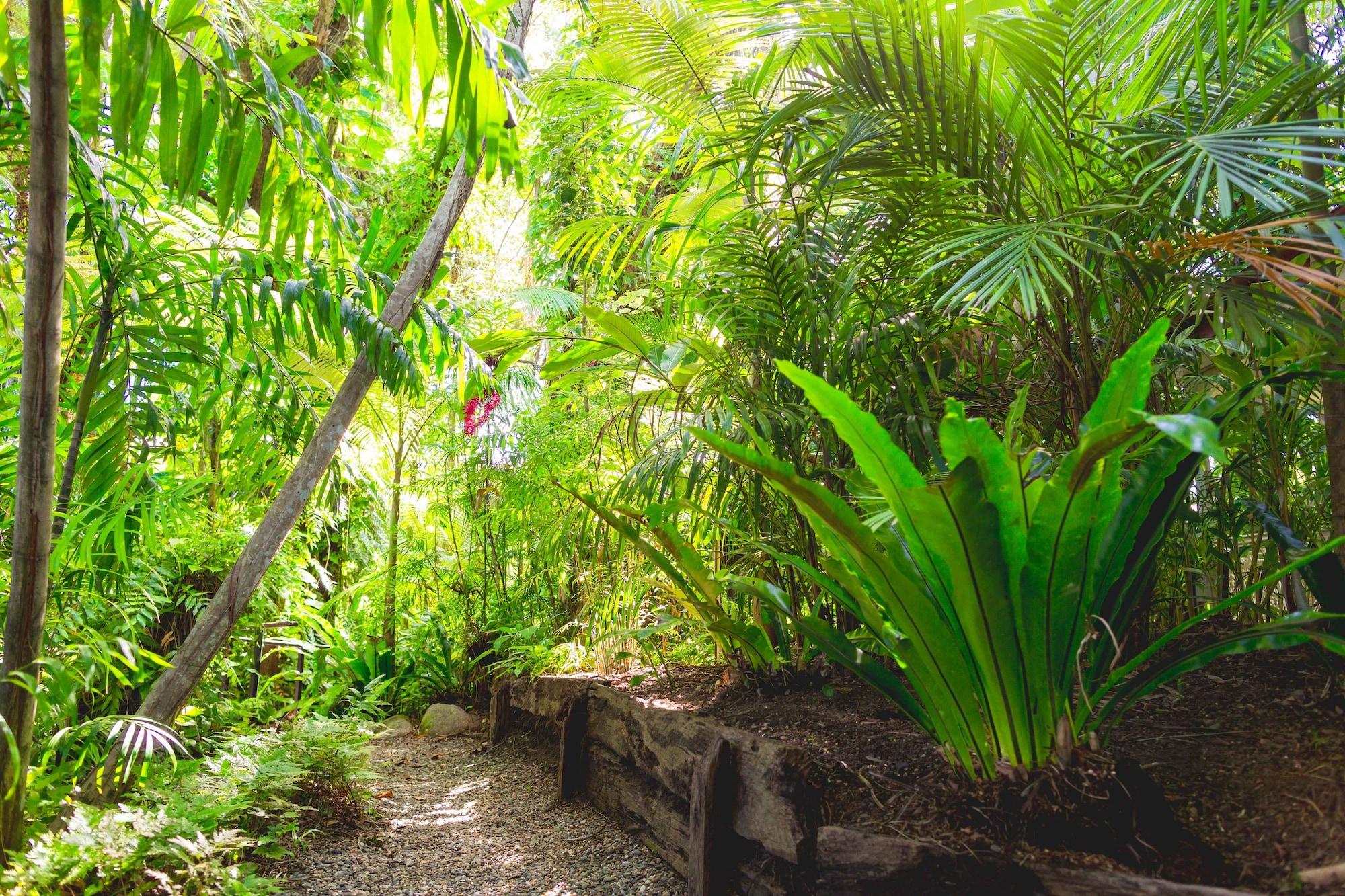 Cairns Colonial Club Resort Buitenkant foto